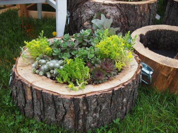 Best DIY Log Planter Ideas