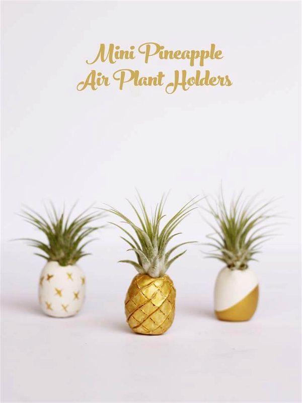 Mini pineapple air plant holders. Kids love making this easy clay craft!