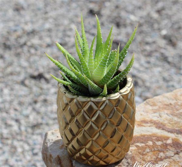 pineapple succulent planter gold diy crafts mother's day gift idea vase candle holder textured