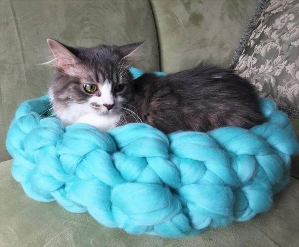 Arm Knit Cat Bed