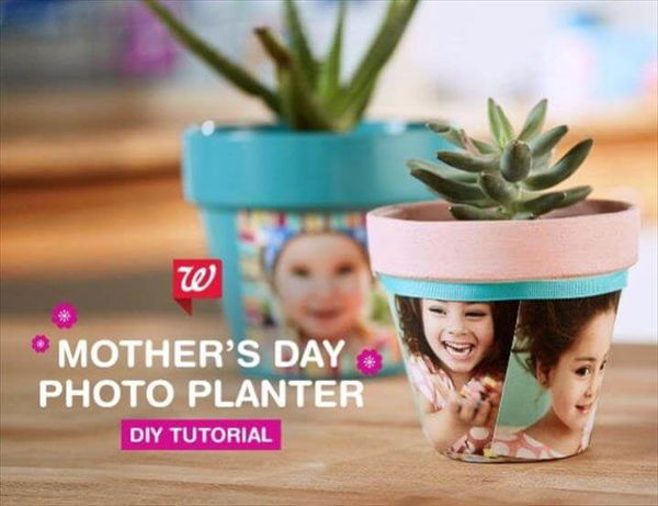 DIY Photo Planter