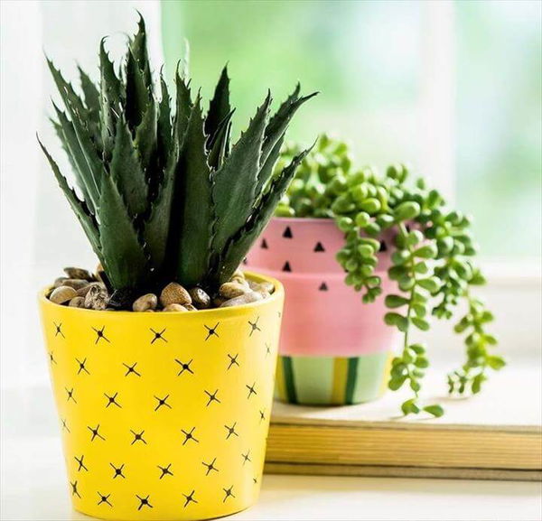 pineapple planter DIY