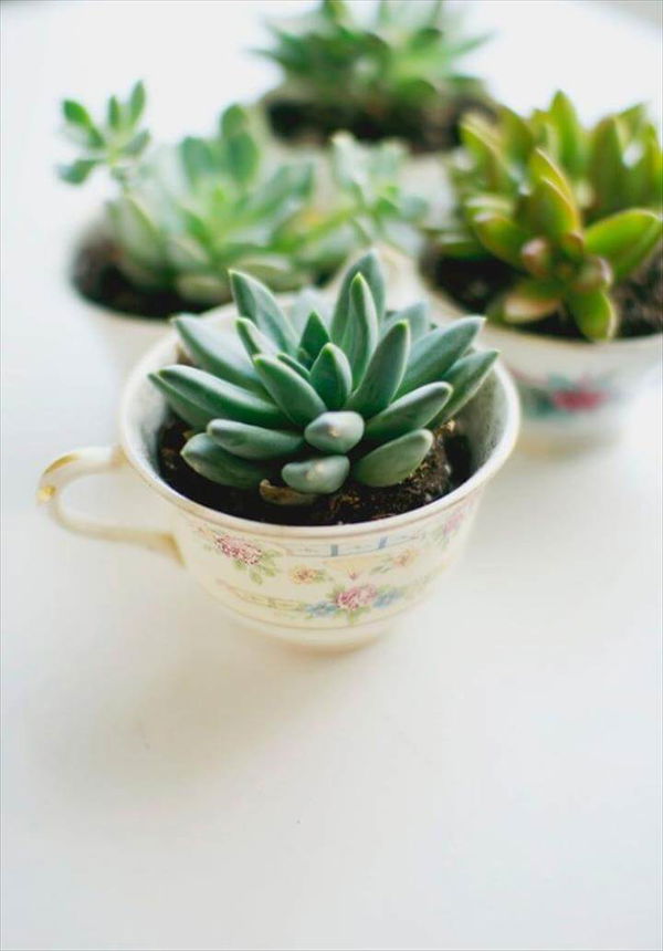 DIY Mothers Day Gift Ideas - Easy DIY Tea Cup Planter - Homemade Gifts for Moms