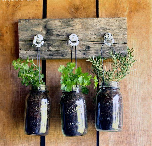 DIY Hanging Garden for Jarred Herbs 