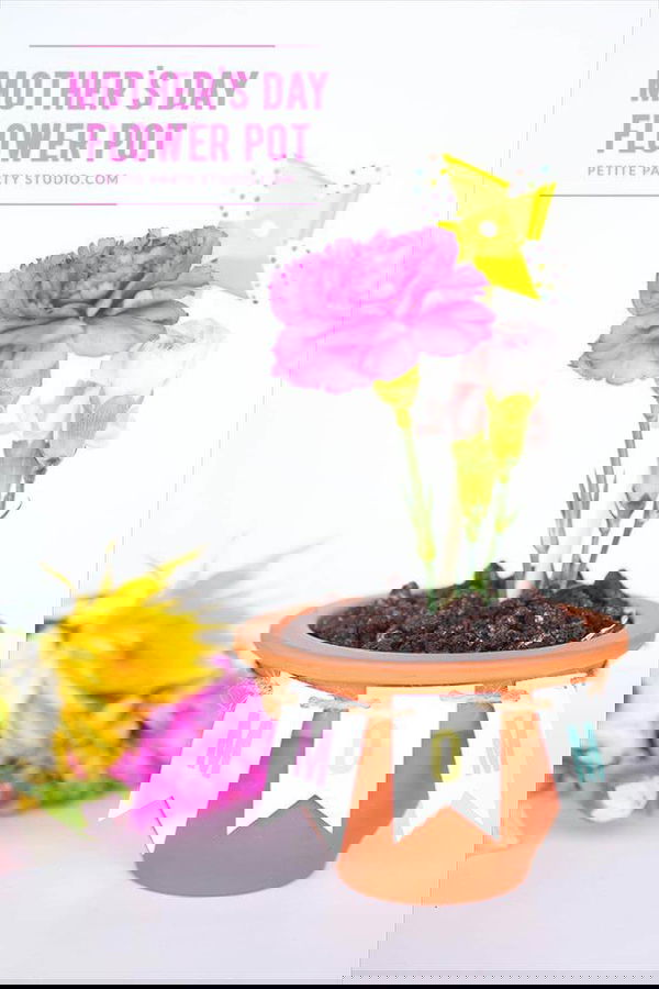 flower pot gift