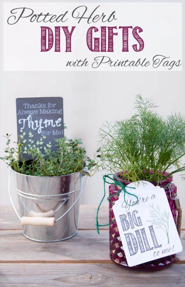 Potted Herb DIY Gift