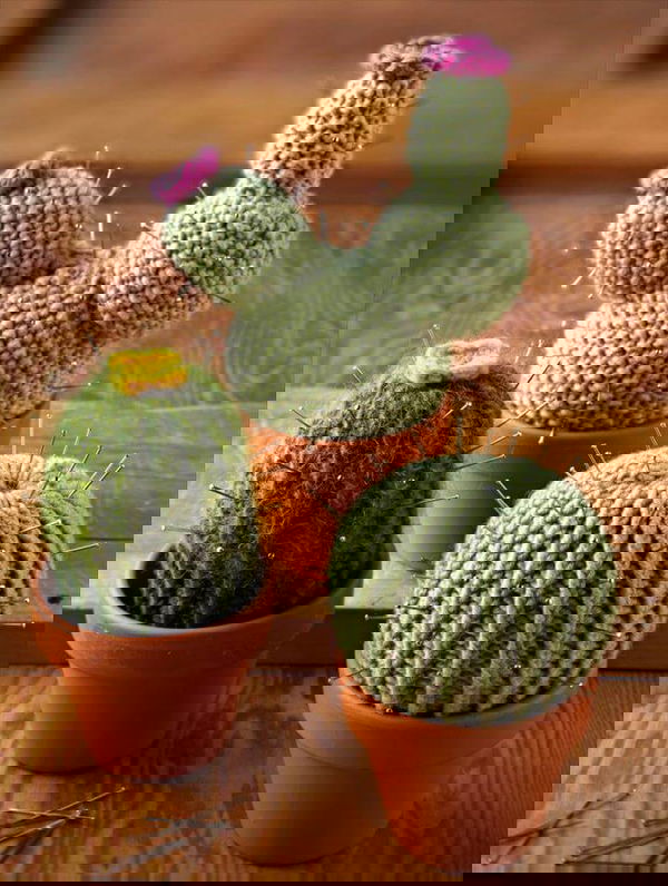 Crochet Cactus, Crochet Flowers, Miniature Plants, Cactus Plants, Yellow Flowers, Minis, Dollhouse Miniatures, Mini Cactus, Cotton Thread,Succulent Gifts, Crochet Cactus, Cactus Cactus, Mini Plants, Artificial Plants, Succulents, Amigurumi, Frida Kahlo, Amigurumi Patterns, Crochet Round, Easy Crochet, Knit Or Crochet, Crochet Hooks, Single Crochet, Crotchet, Crochet Cactus Free Pattern, Round Cactus, Cactus Planta,Crochet Cactus, Cute Crochet, Crochet Toys, Crochet Art, Fleur Crochet, Crotchet, Crochet Flowers, Crochet Patterns, Indoor Succulents,