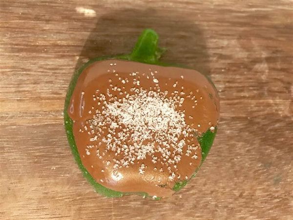 Caramel Apple Jelly Soap DIY Recipe