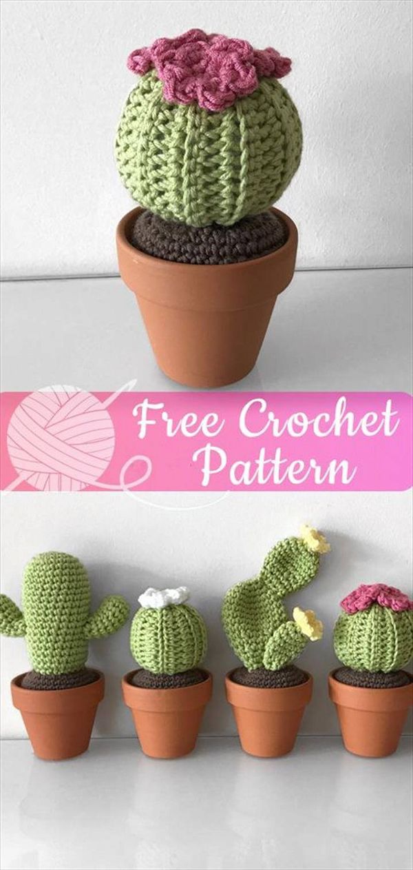 Diy Crochet Cactus, How To Crochet, Stitch Crochet, Cute Crochet, Crochet Flowers, Knit Crochet, Fleur Crochet, Cactus Diys, Cactus Craft,